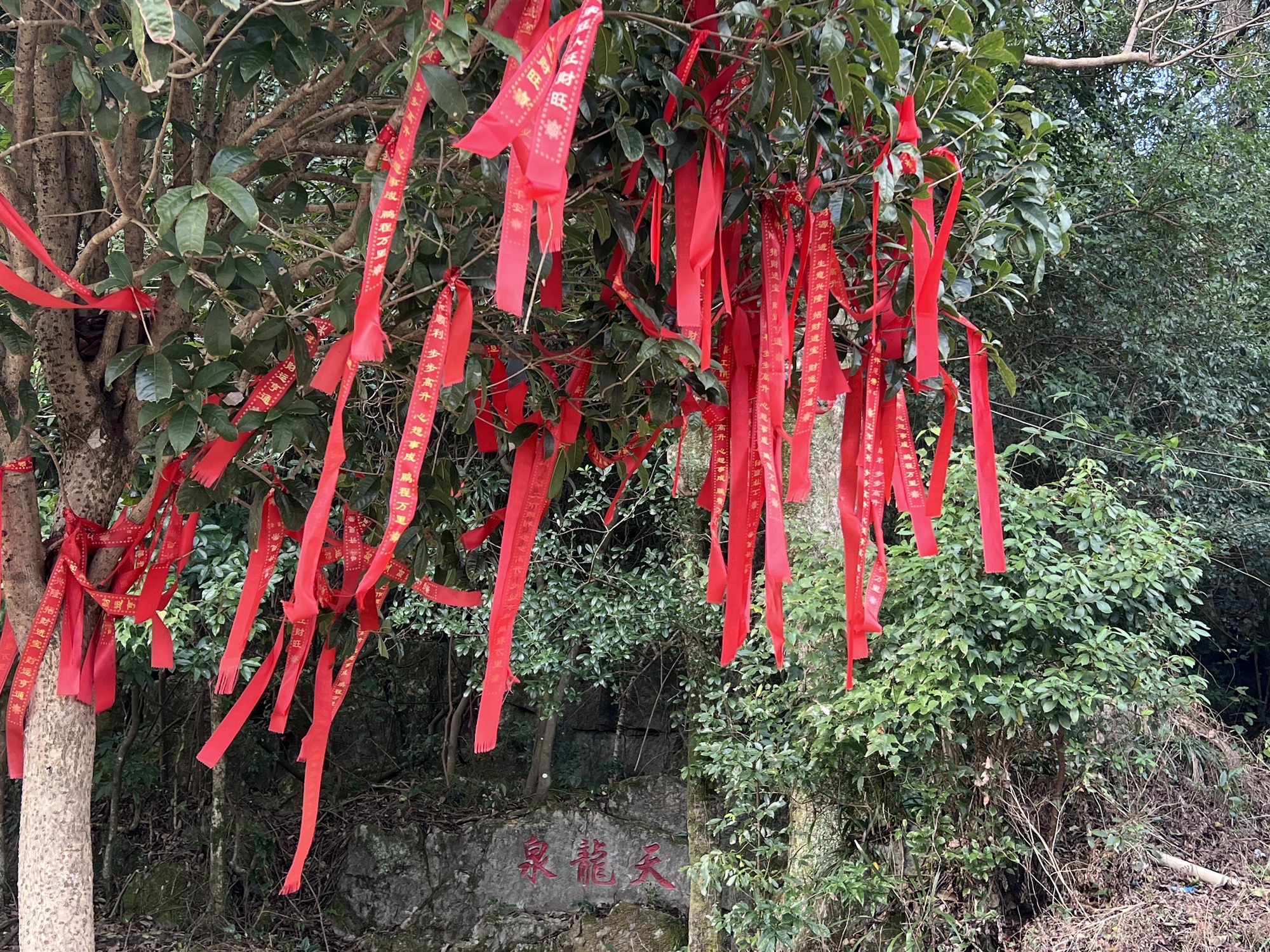 津龙祠旅行图片 1
