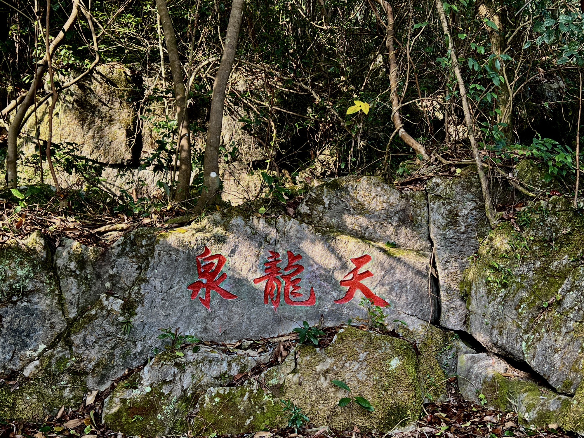 津龙祠旅行图片 2