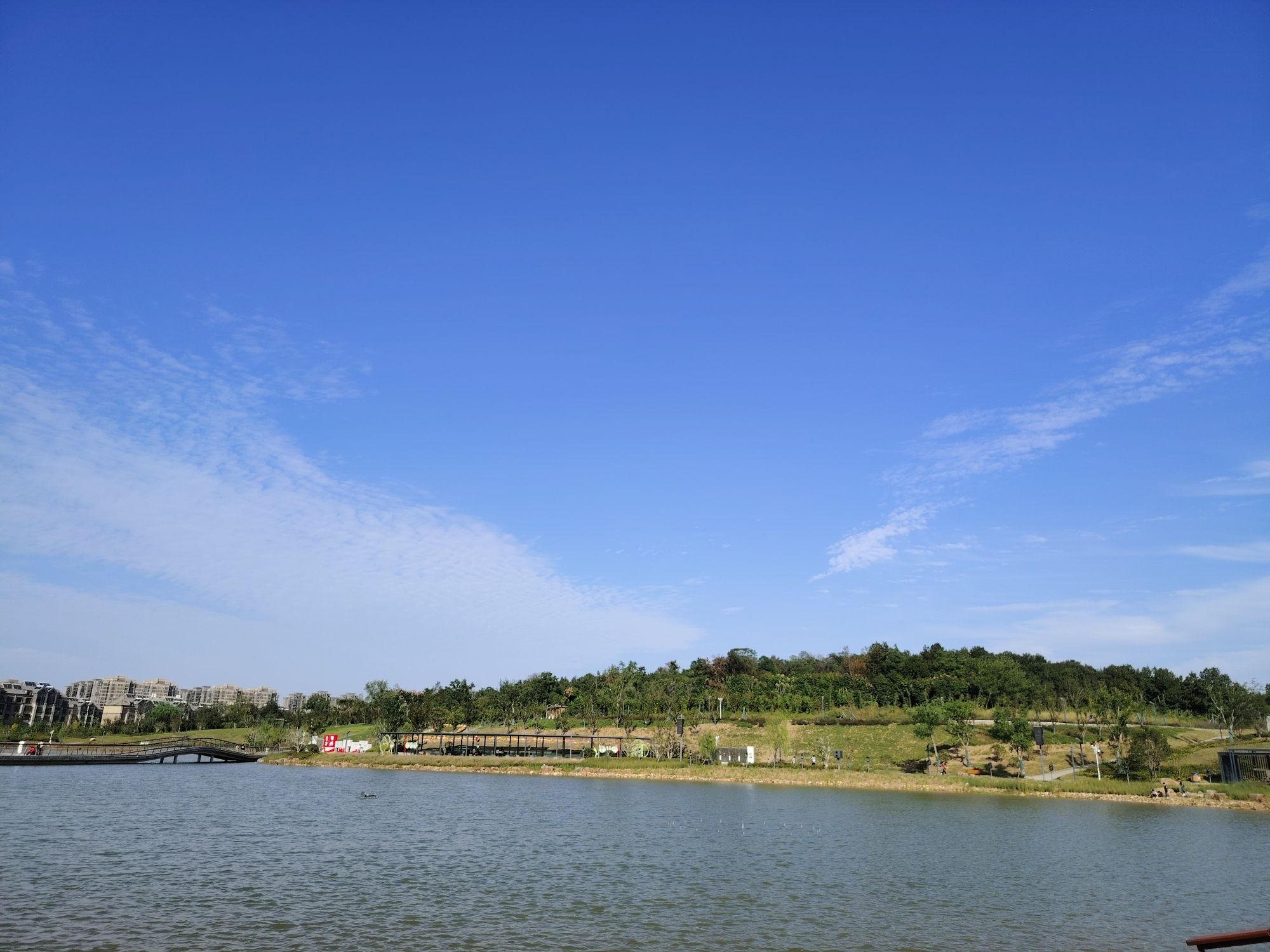 小黄山公园旅行图片 3