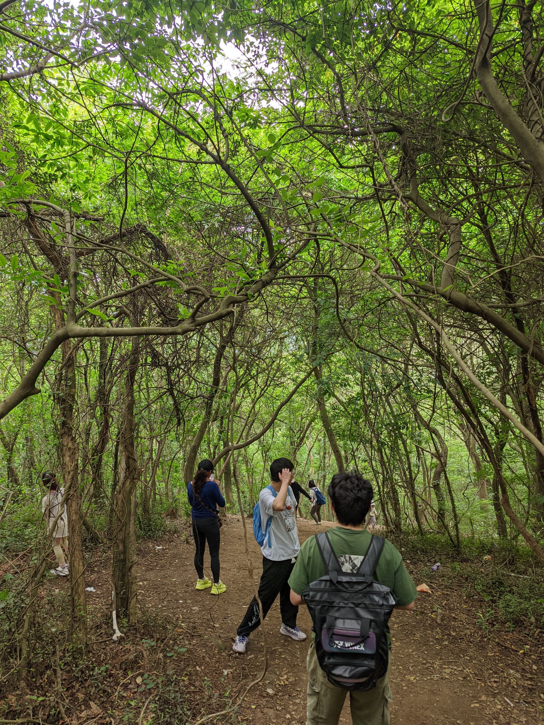 谈仙岭古道旅行图片 3