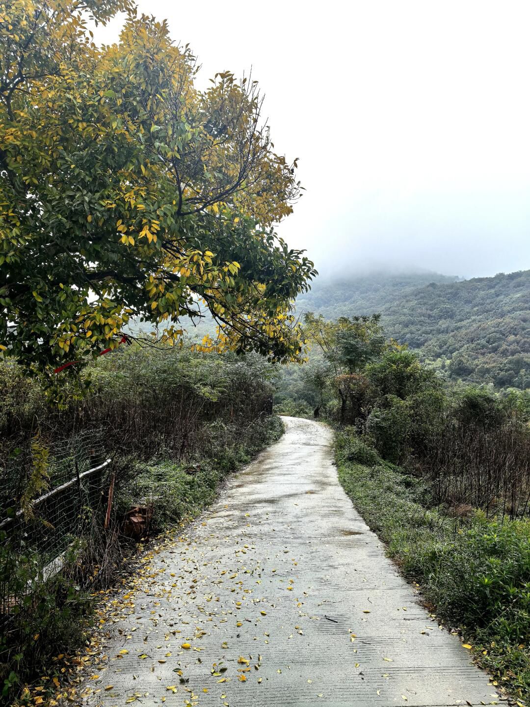 谈仙岭古道旅行图片 3