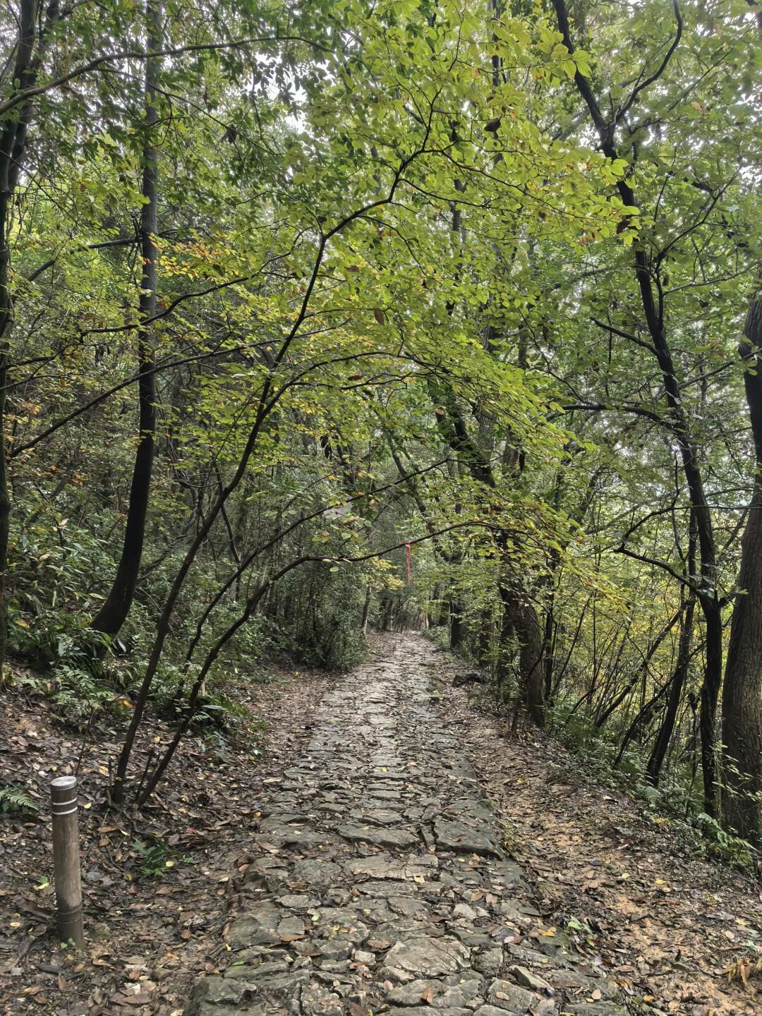 谈仙岭古道旅行图片 1