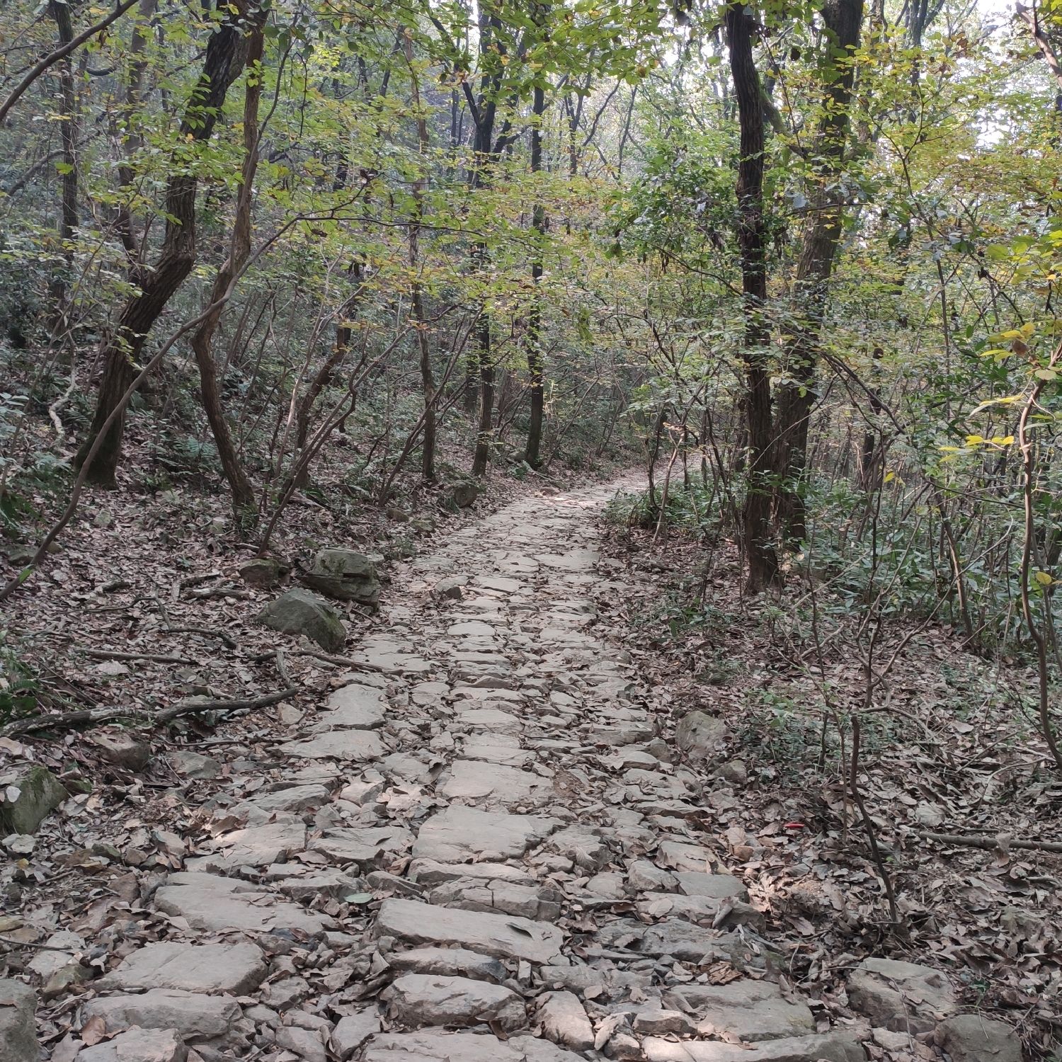 谈仙岭古道旅行图片 1