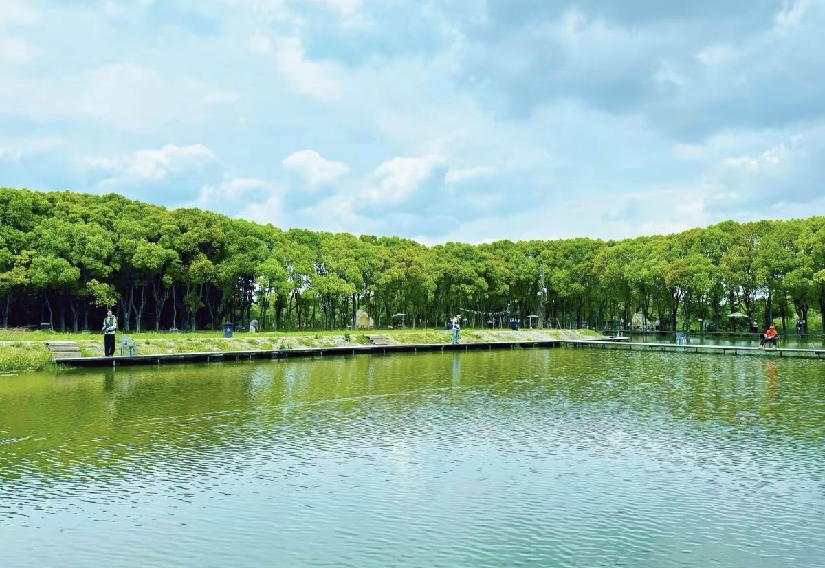 场地封面-嘉年华巨鳡乐园钓场