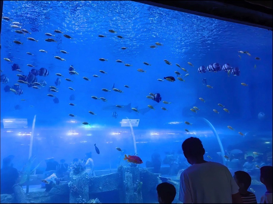 南阳市海洋乐园旅行图片 1