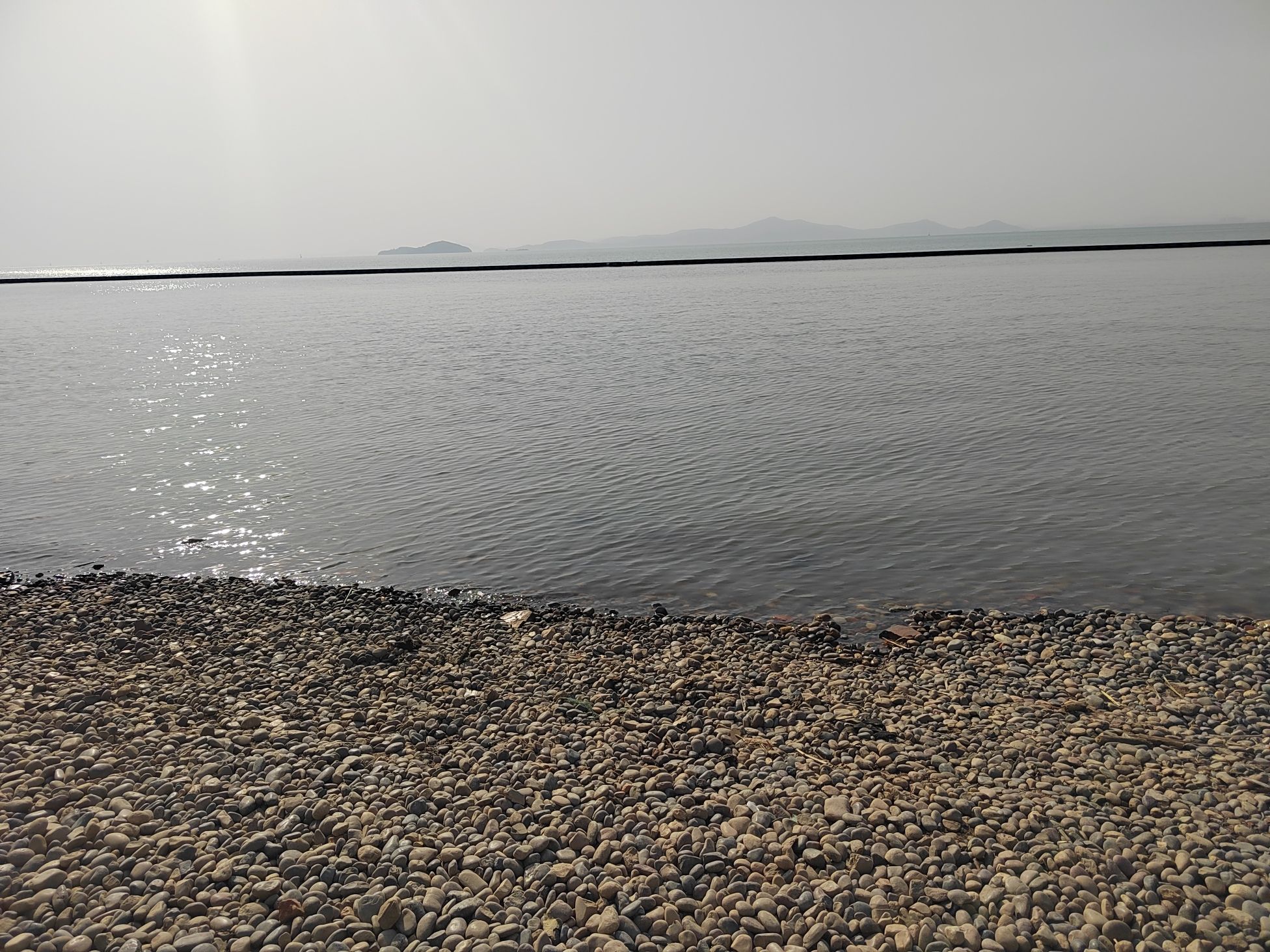 无锡太湖植物园旅行图片 1