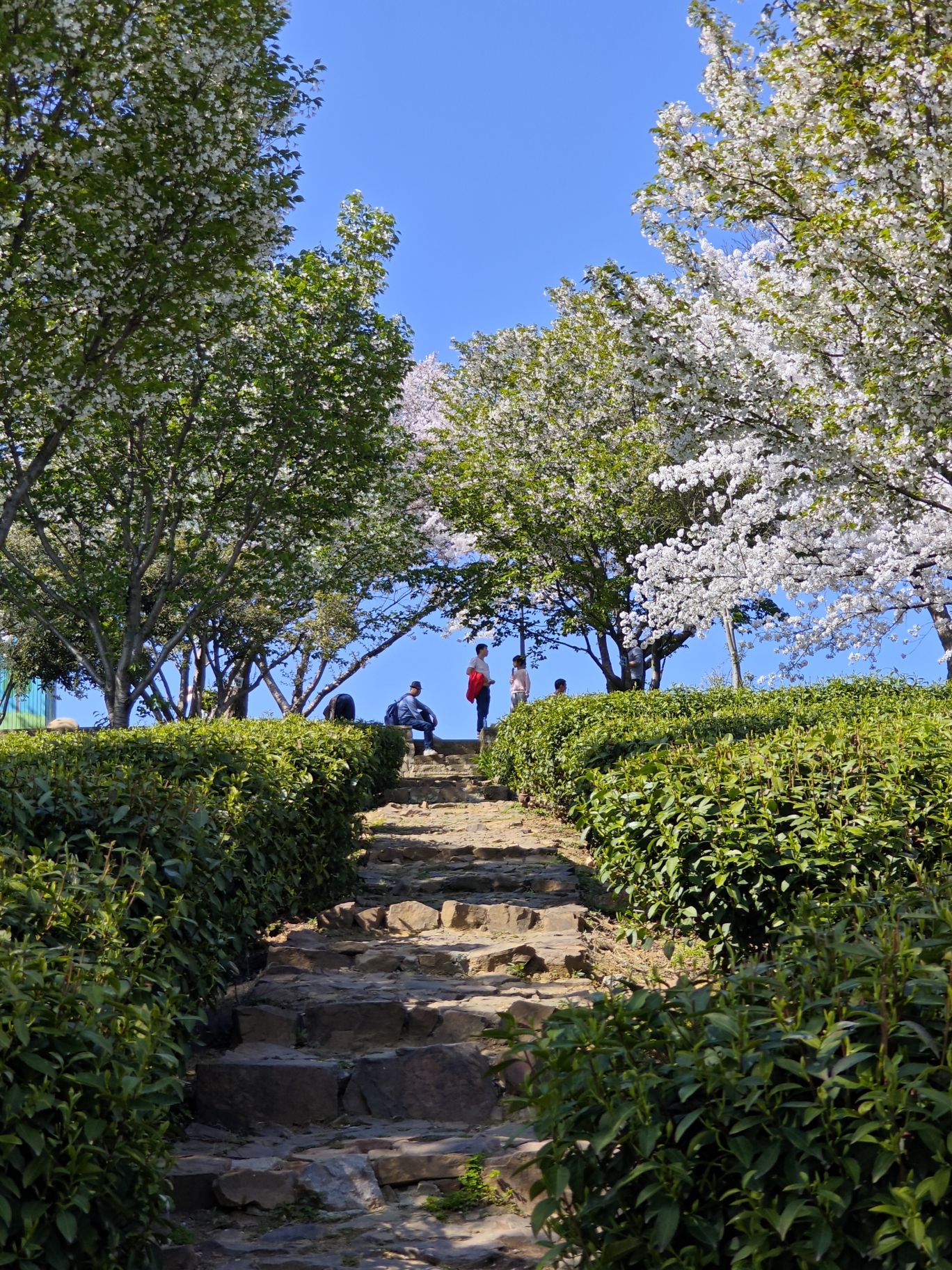 无锡太湖植物园旅行图片 2