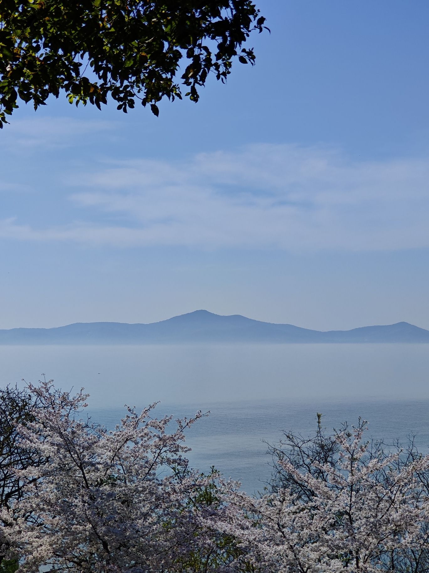 无锡太湖植物园旅行图片 1