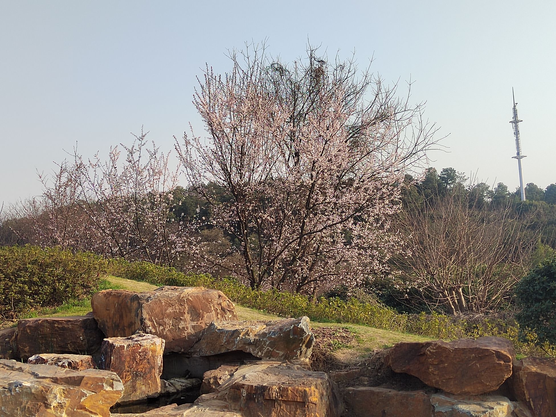 无锡太湖植物园旅行图片 3