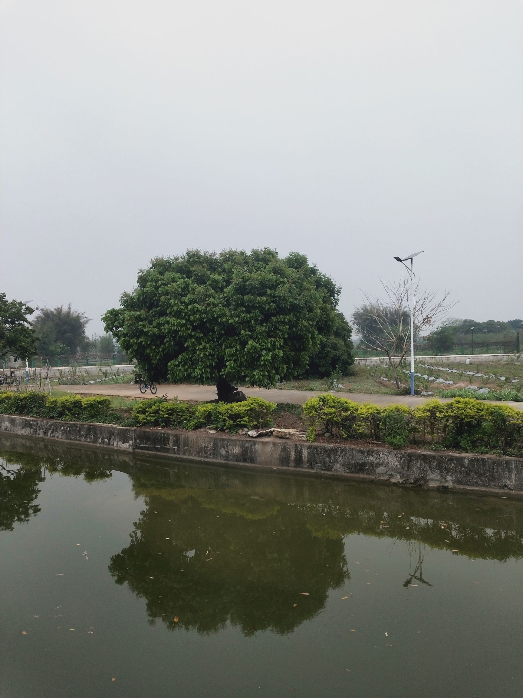 石坑田园景区旅行图片 3