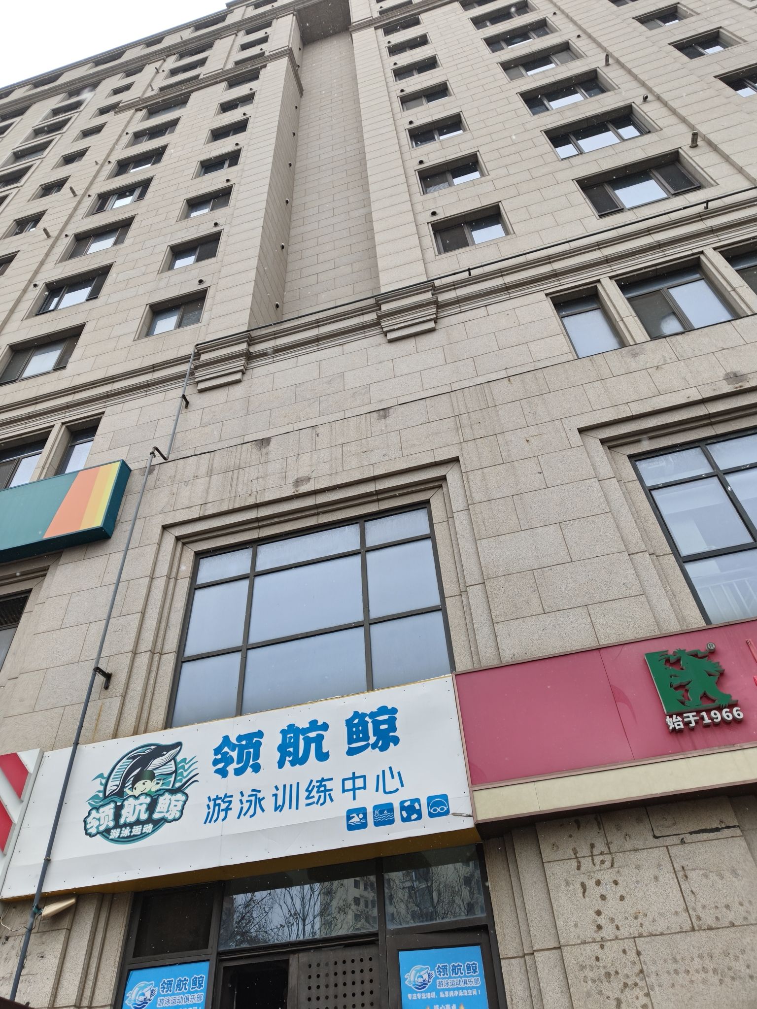 领航鲸游泳训练中心(燕儿岛路店) - 青岛市市南区 - 体育休闲服务;体育休闲服务场所;体育休闲服务场所 | 地址营业时间 | Amap