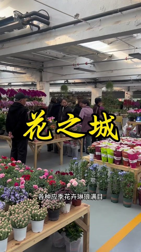 花之城花鸟鱼虫市场