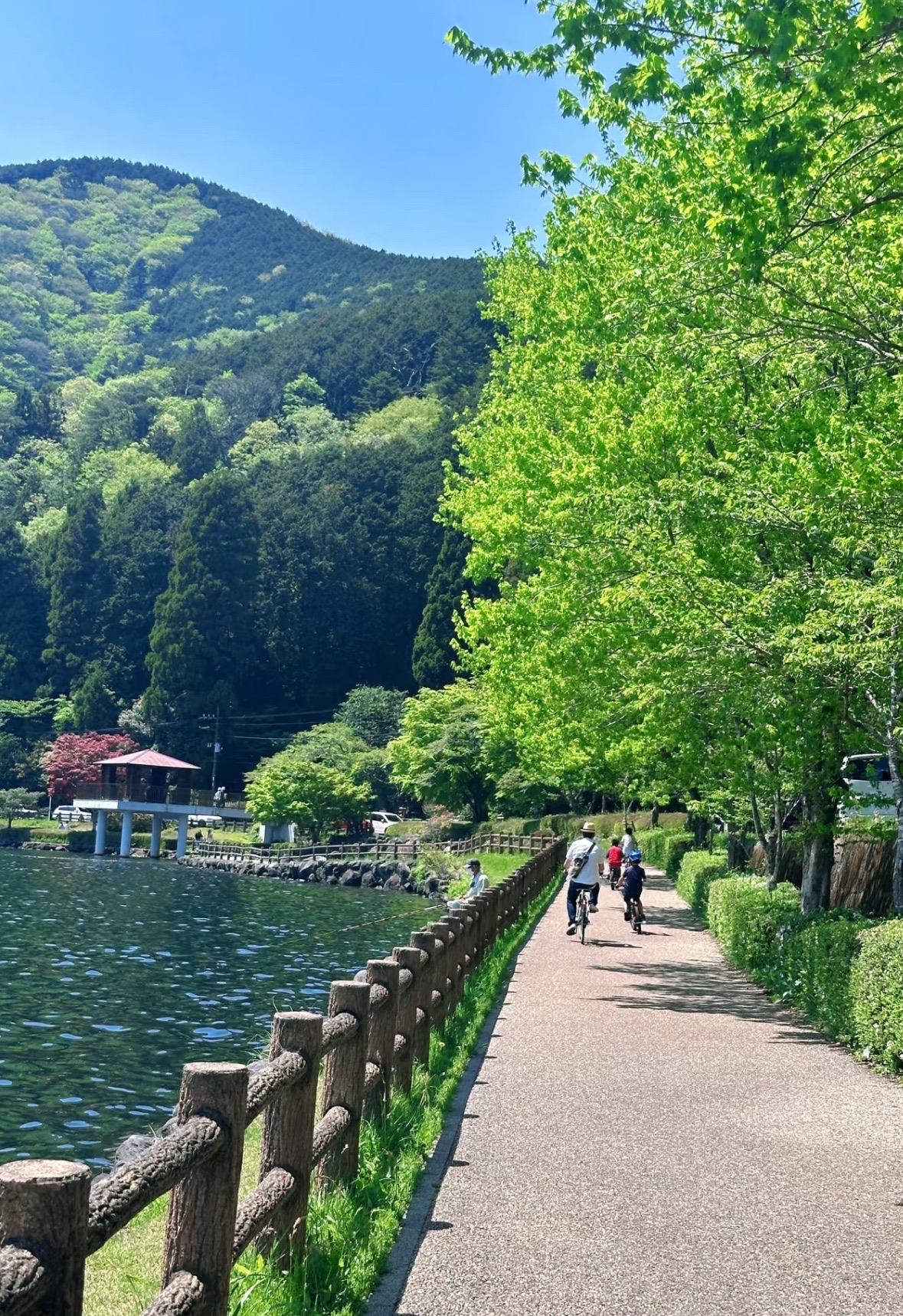 莲华生态公园旅行图片 1