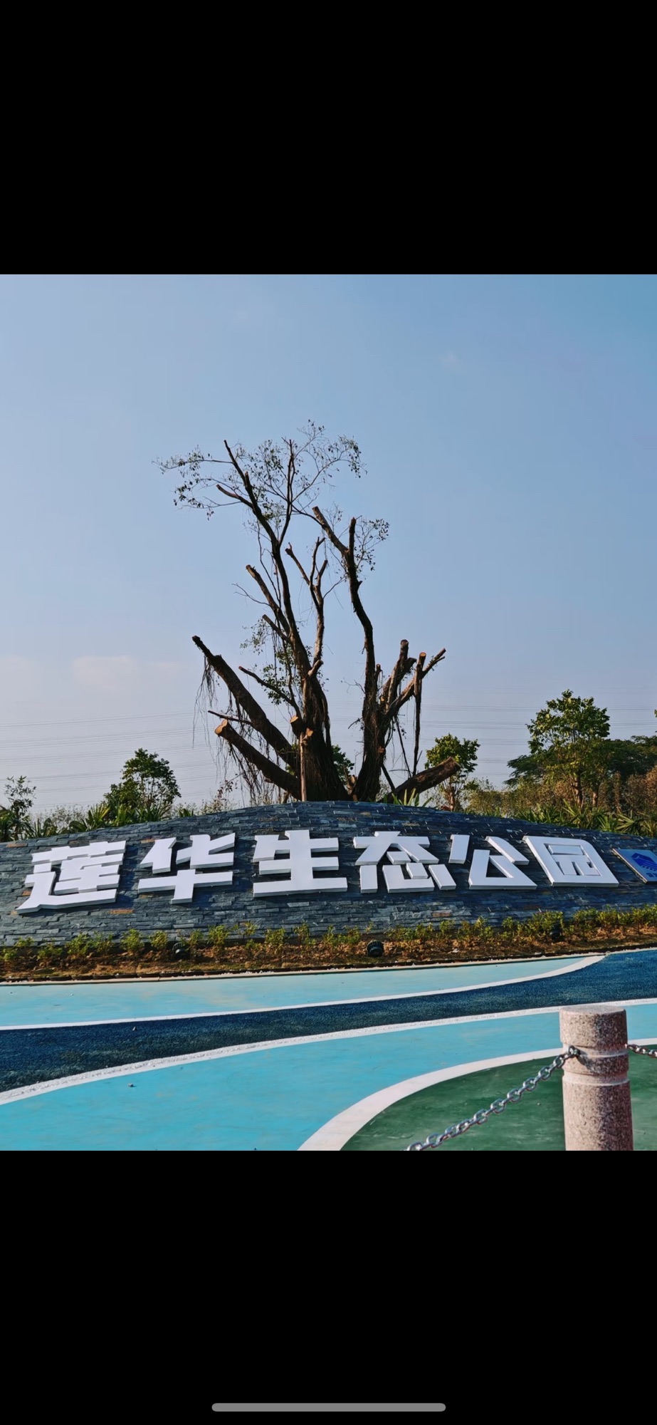 莲华生态公园旅行图片 3