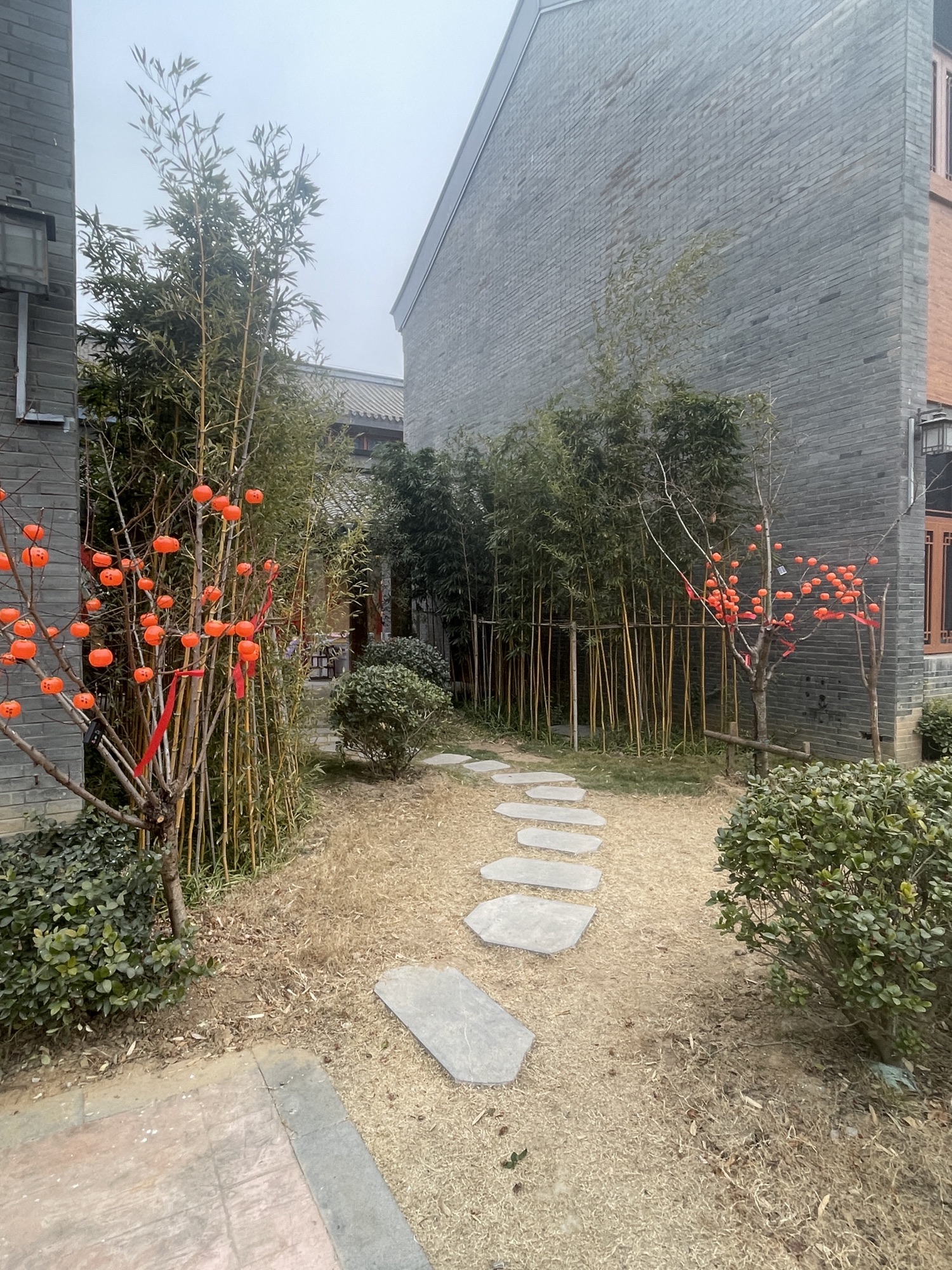 山海胜境女儿国旅行图片