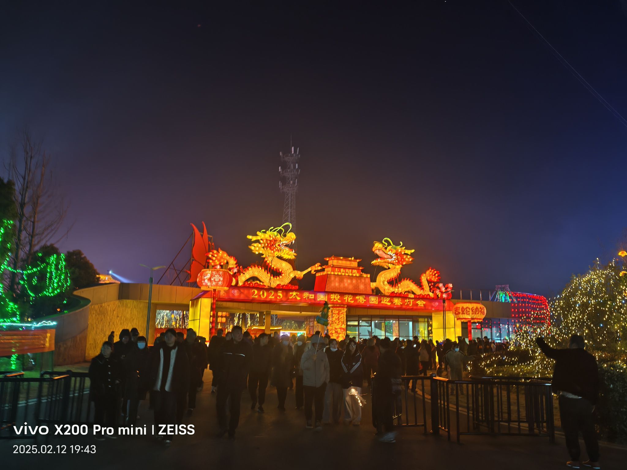 太和花博园新春灯会旅行图片 2