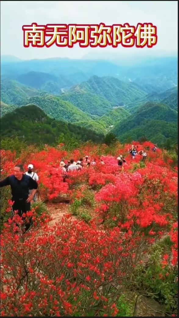 新昌县大岩庵旅行图片 2