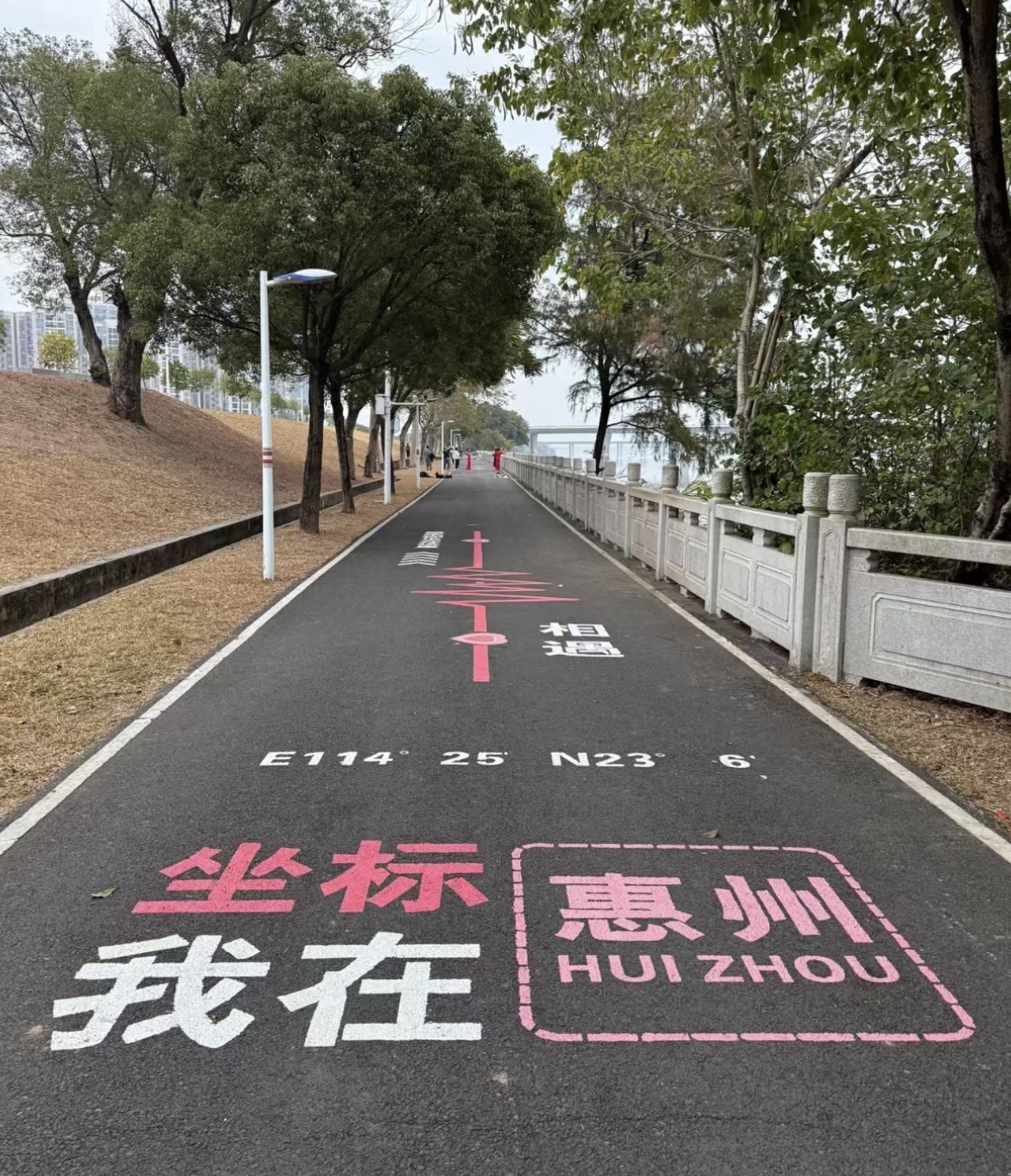 大云寺旅行图片 3