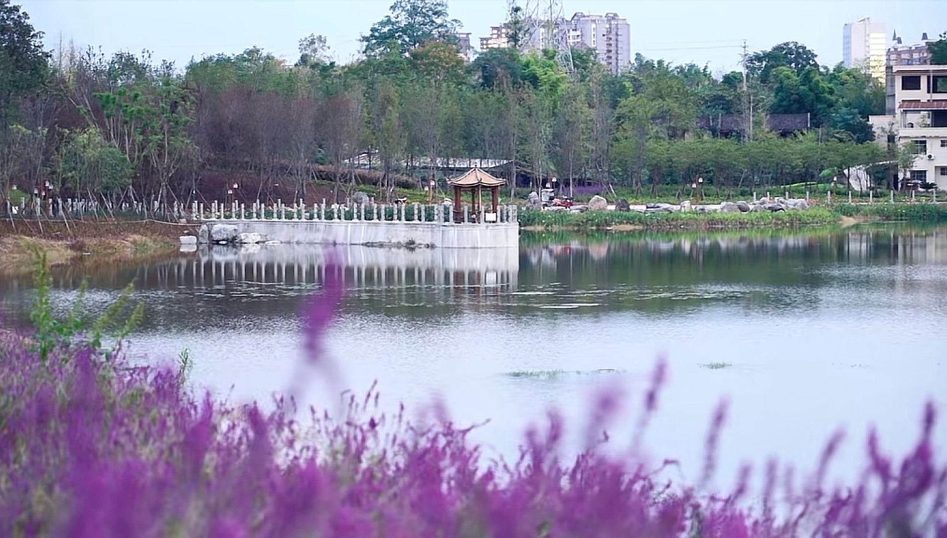 兴隆湖公园旅行图片 2