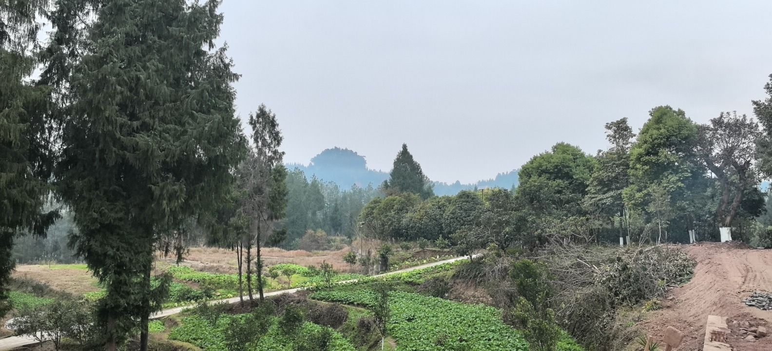歇脚石旅行图片 1