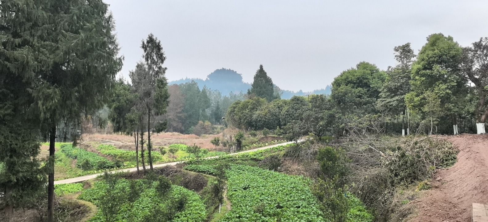 歇脚石旅行图片 2