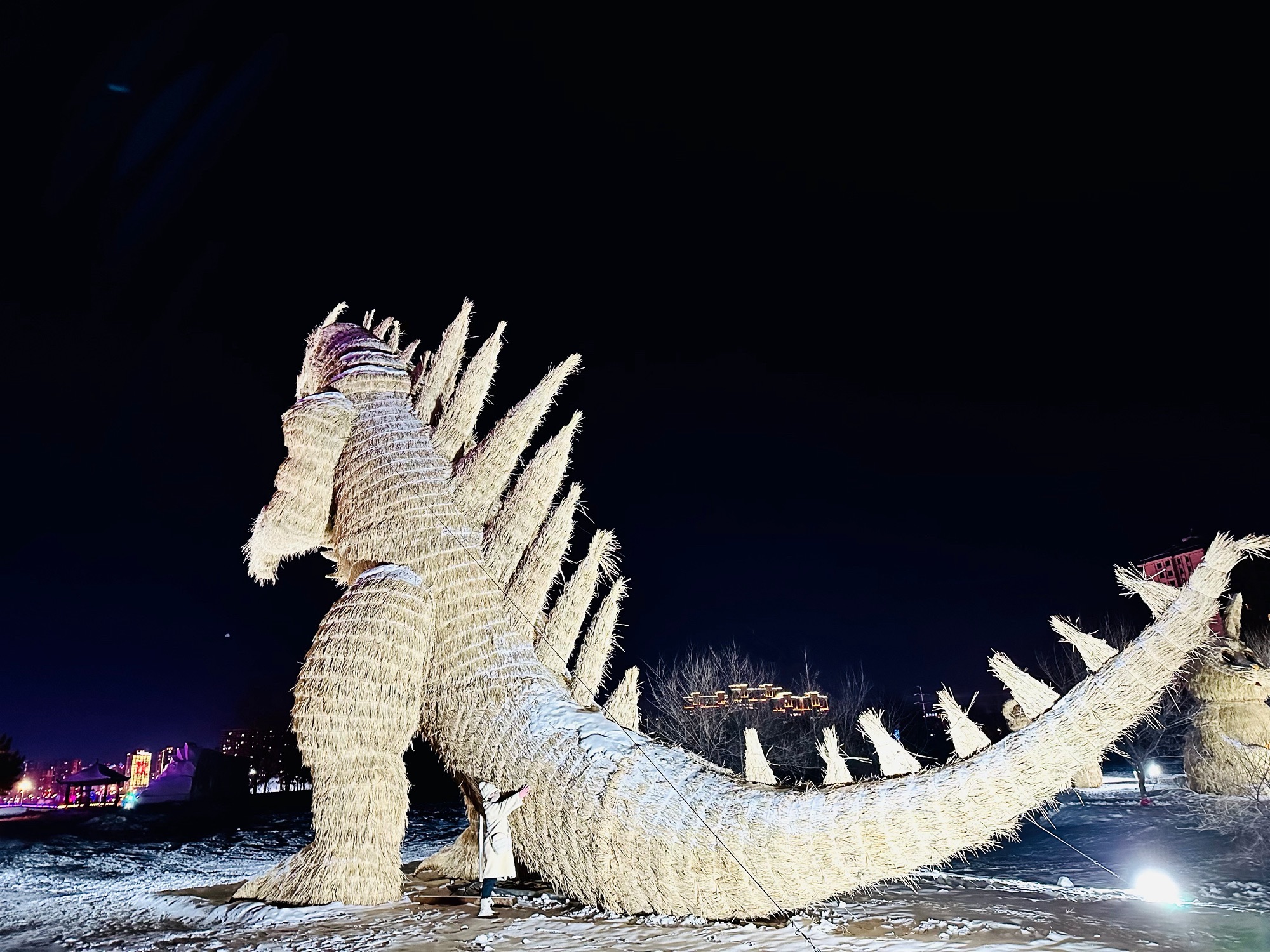 伊敏河冰雪嘉年华(暂停开放)旅行图片 3