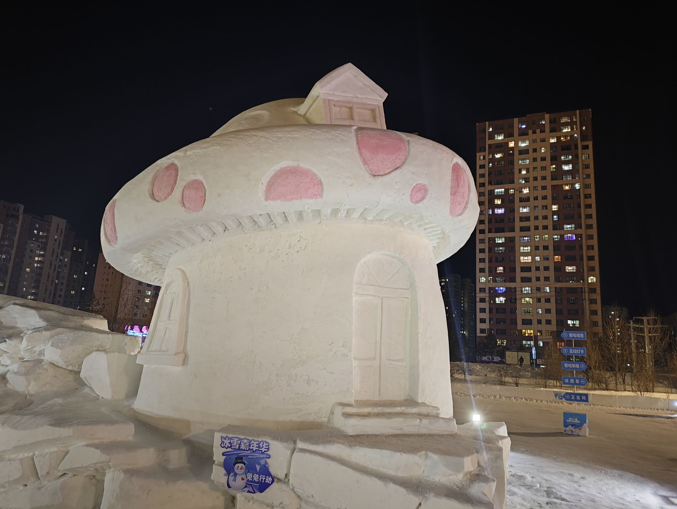 伊敏河冰雪嘉年华(暂停开放)旅行图片 1