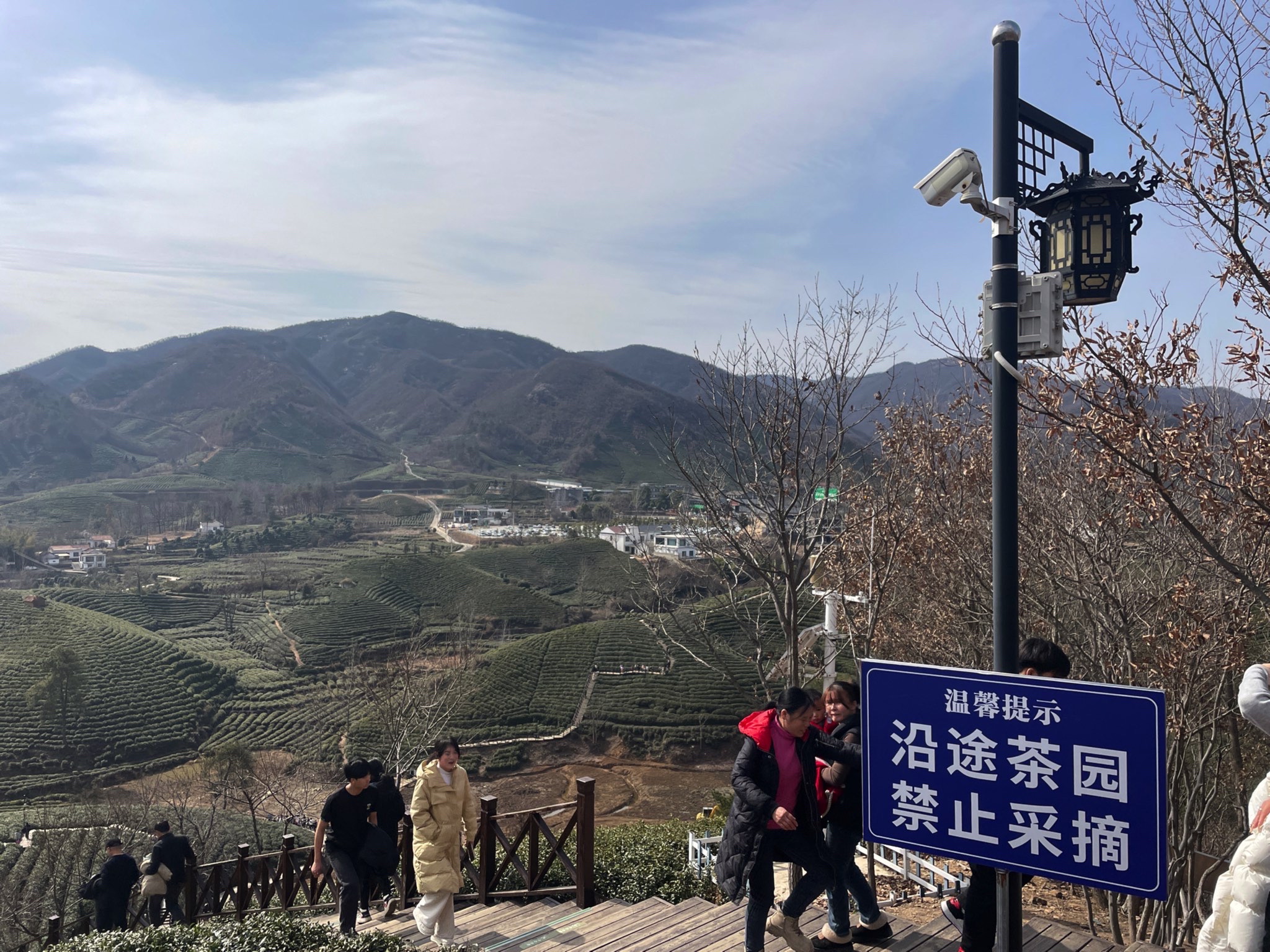 清风茶山风景区旅行图片 1