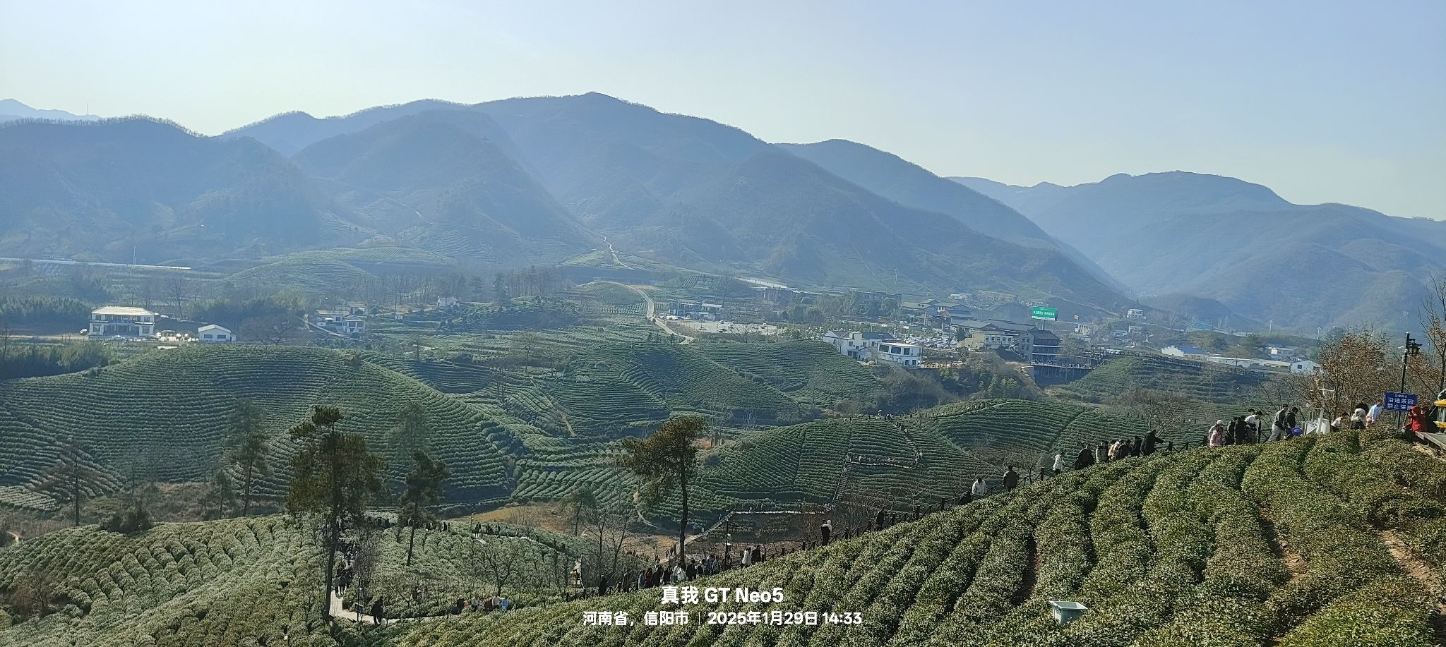 清风茶山风景区旅行图片 3
