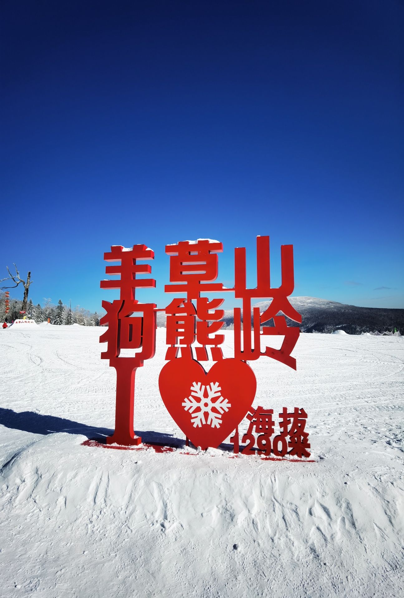 羊草山狗熊岭