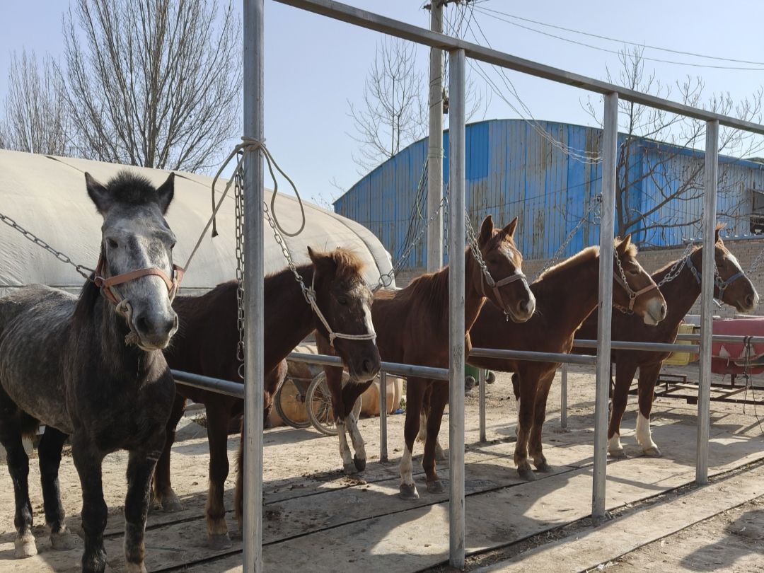 场地封面-雷超马术俱乐部