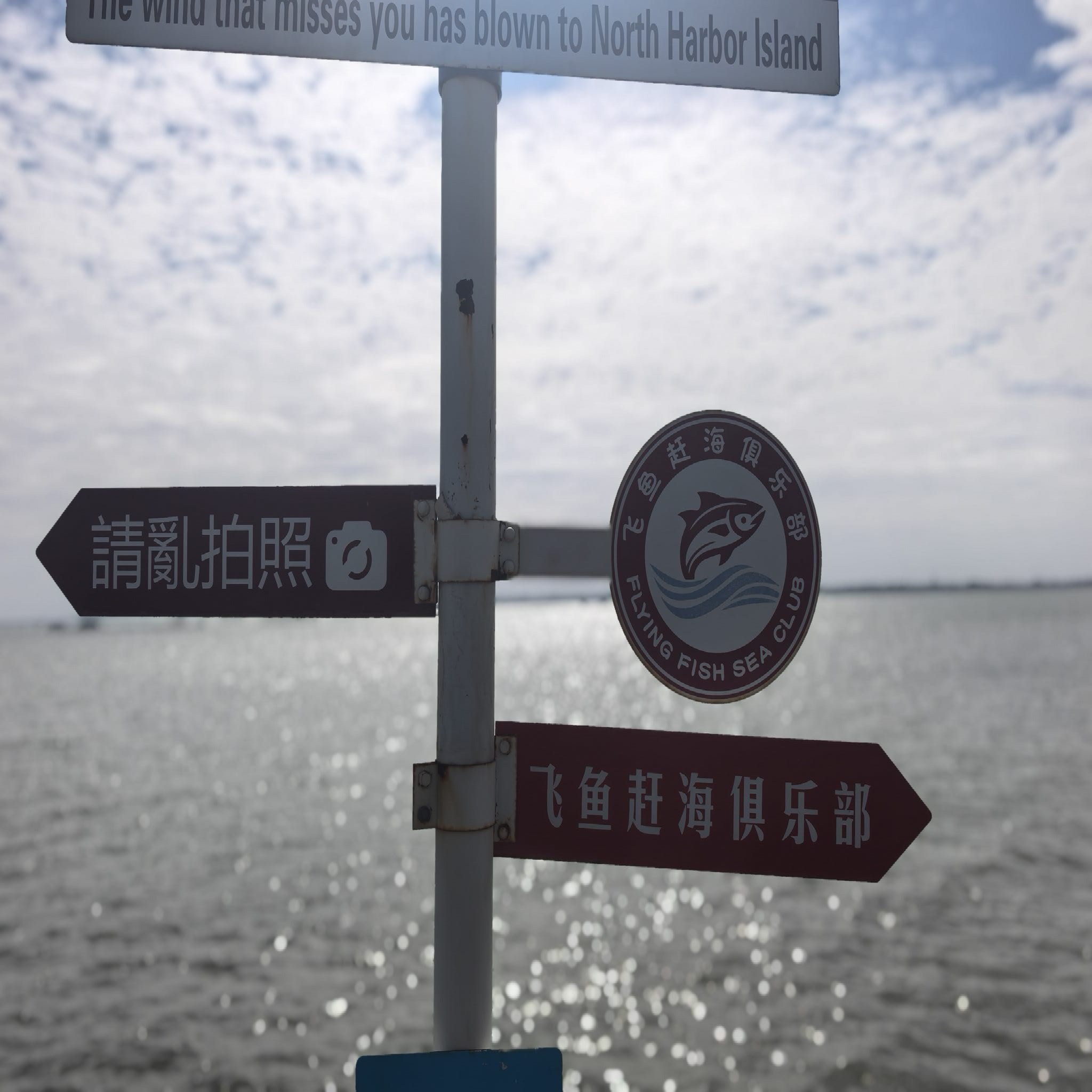 赶海下海口