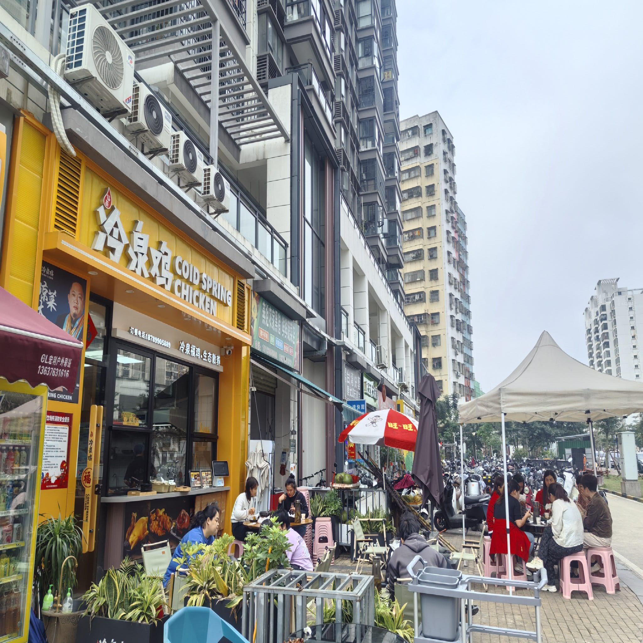 福基冷泉鸡
