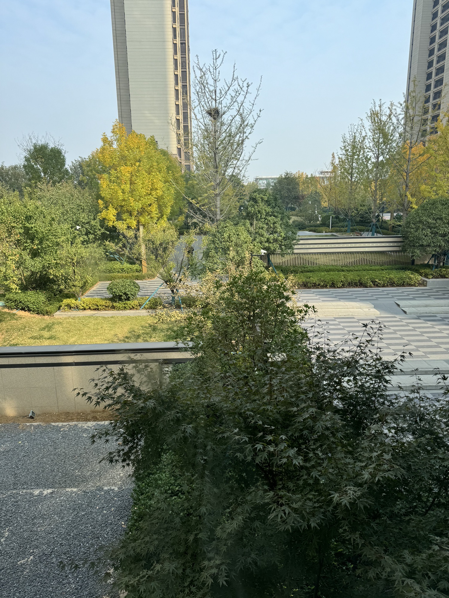 庄王山文化公园旅行图片 1