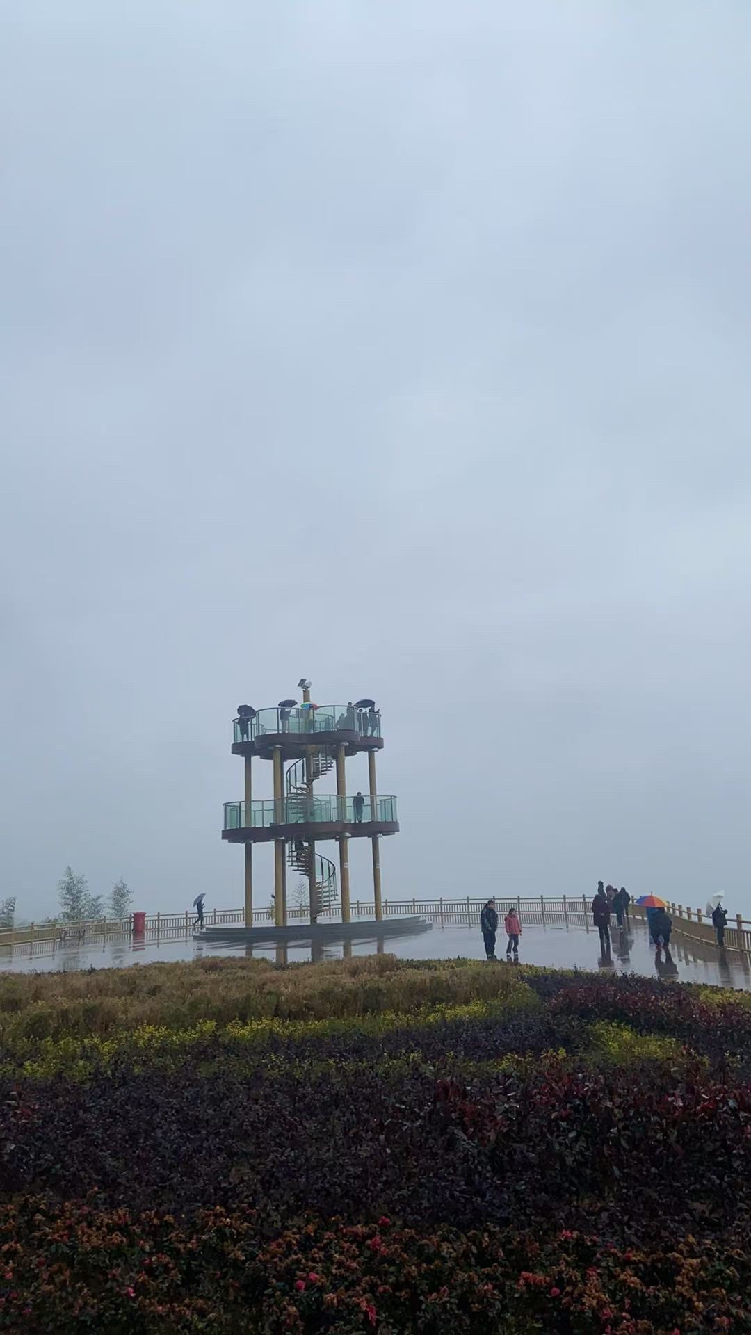 竹海之眼旅行图片 1