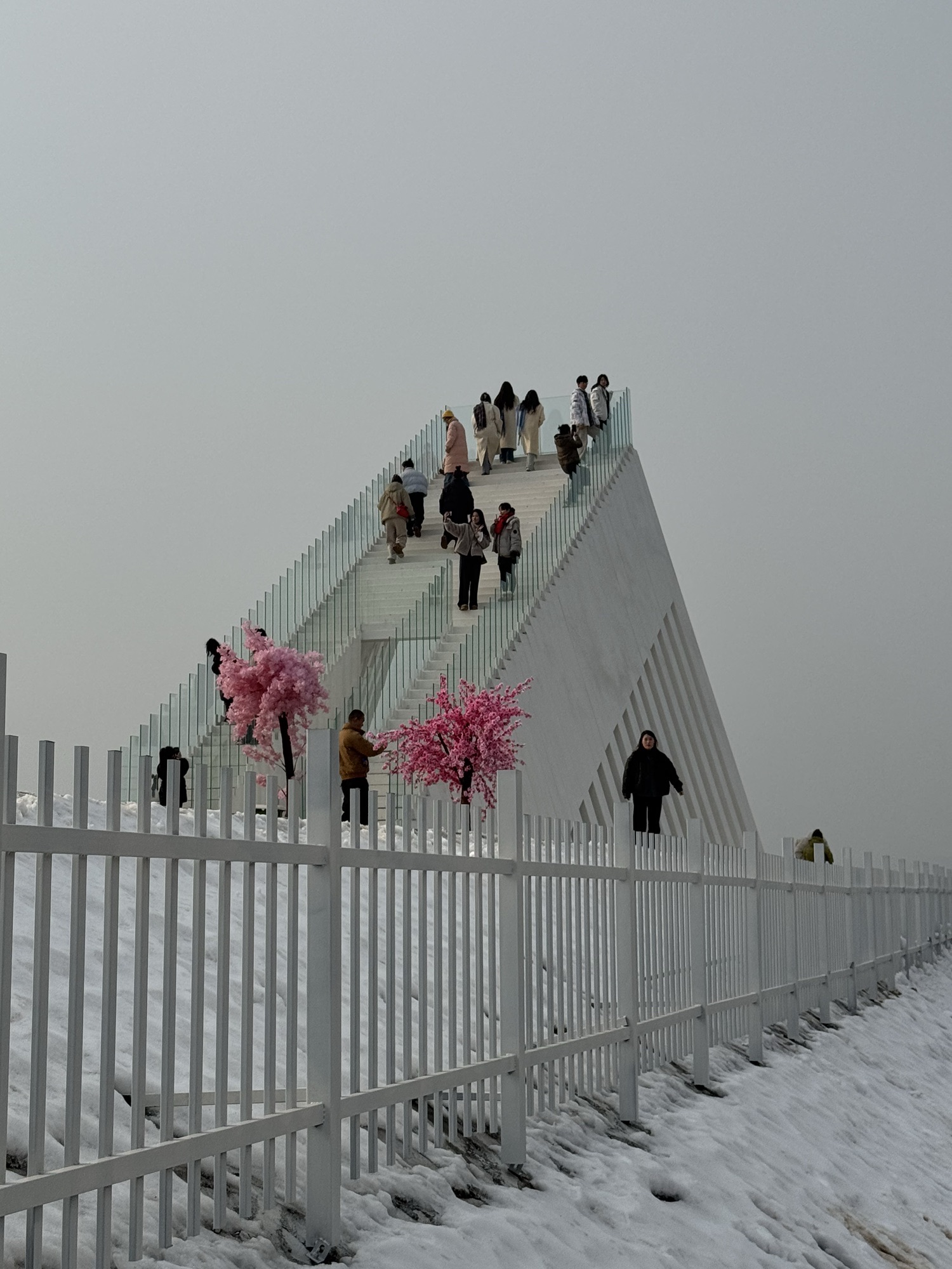 云梯旅行图片 2