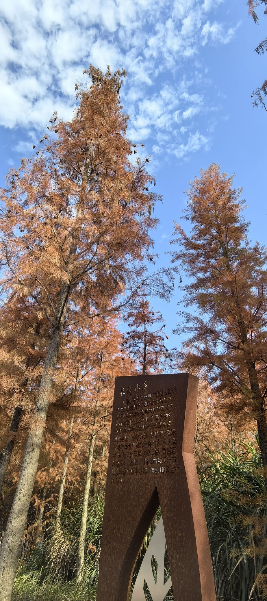 上垟红树林旅行图片 1