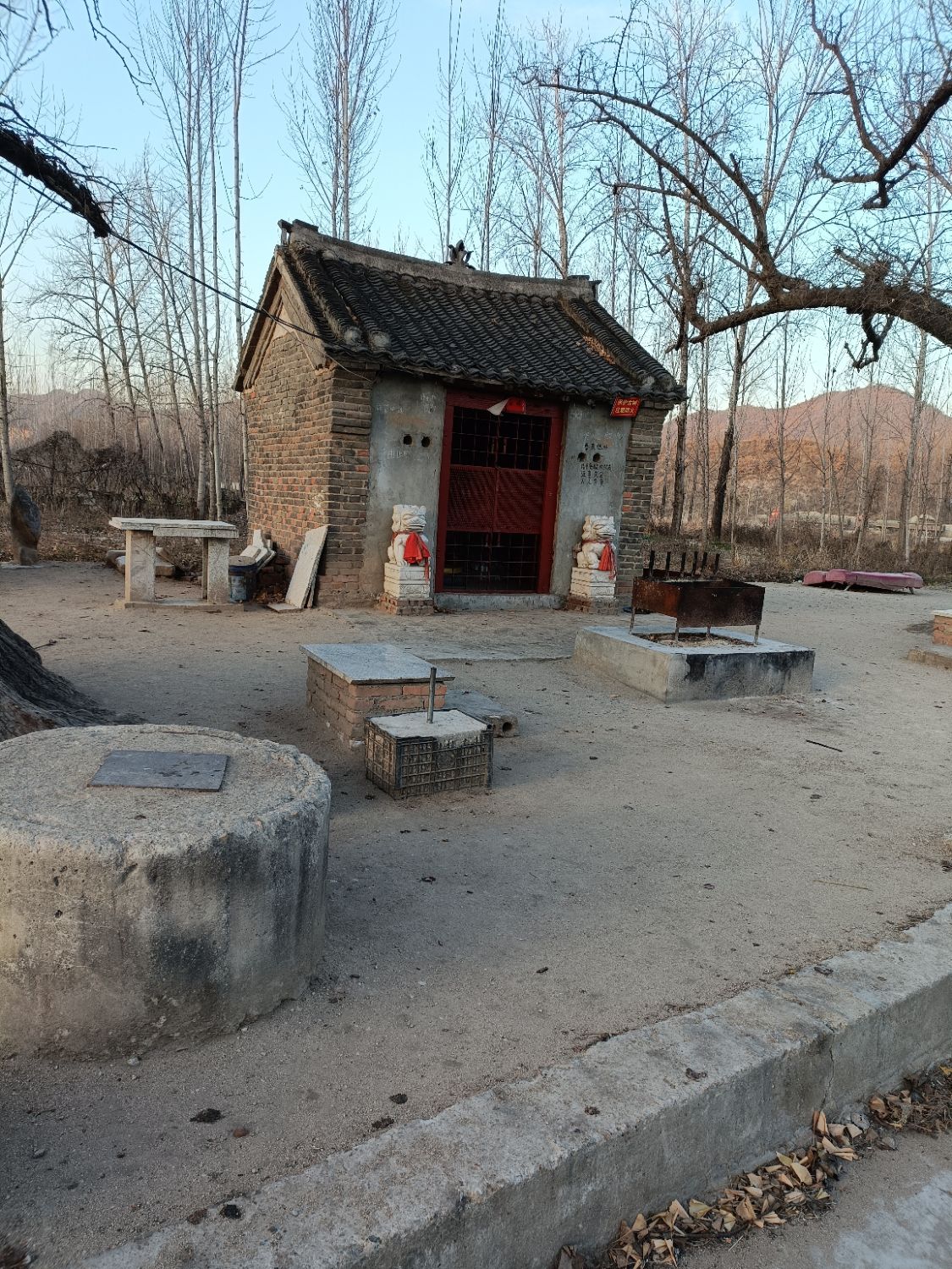 千年银杏树旅行图片 3