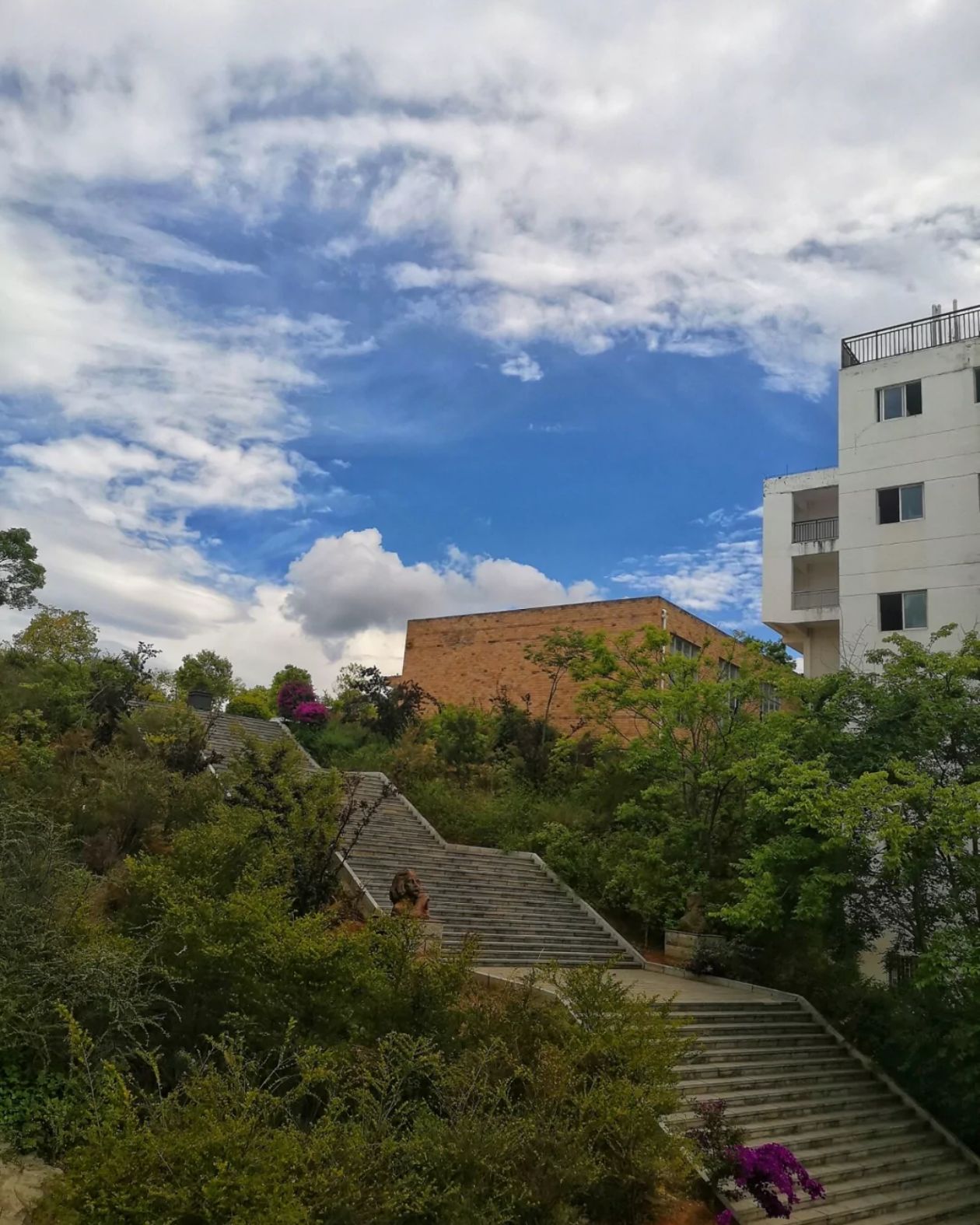楚雄技师学院
