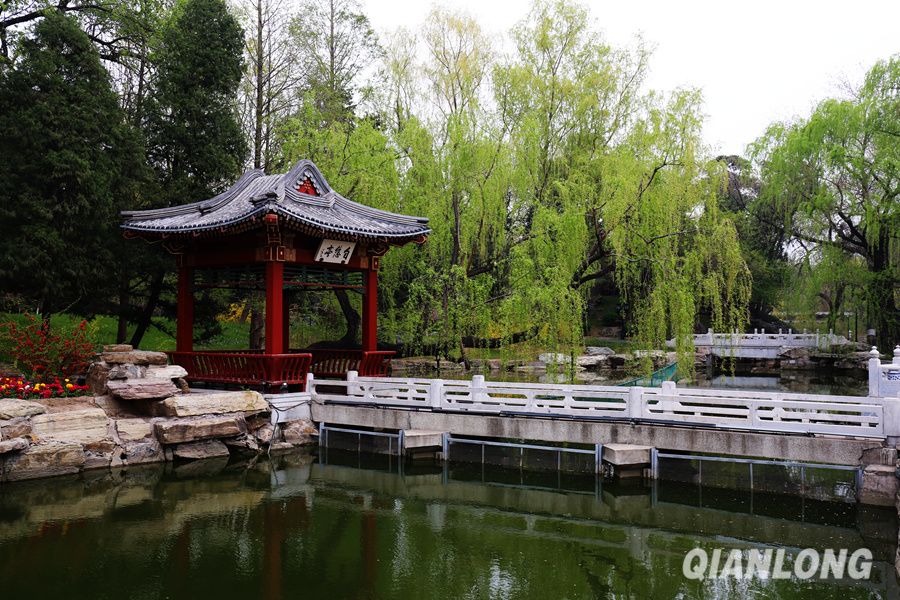 求学湖畔旅行图片 2