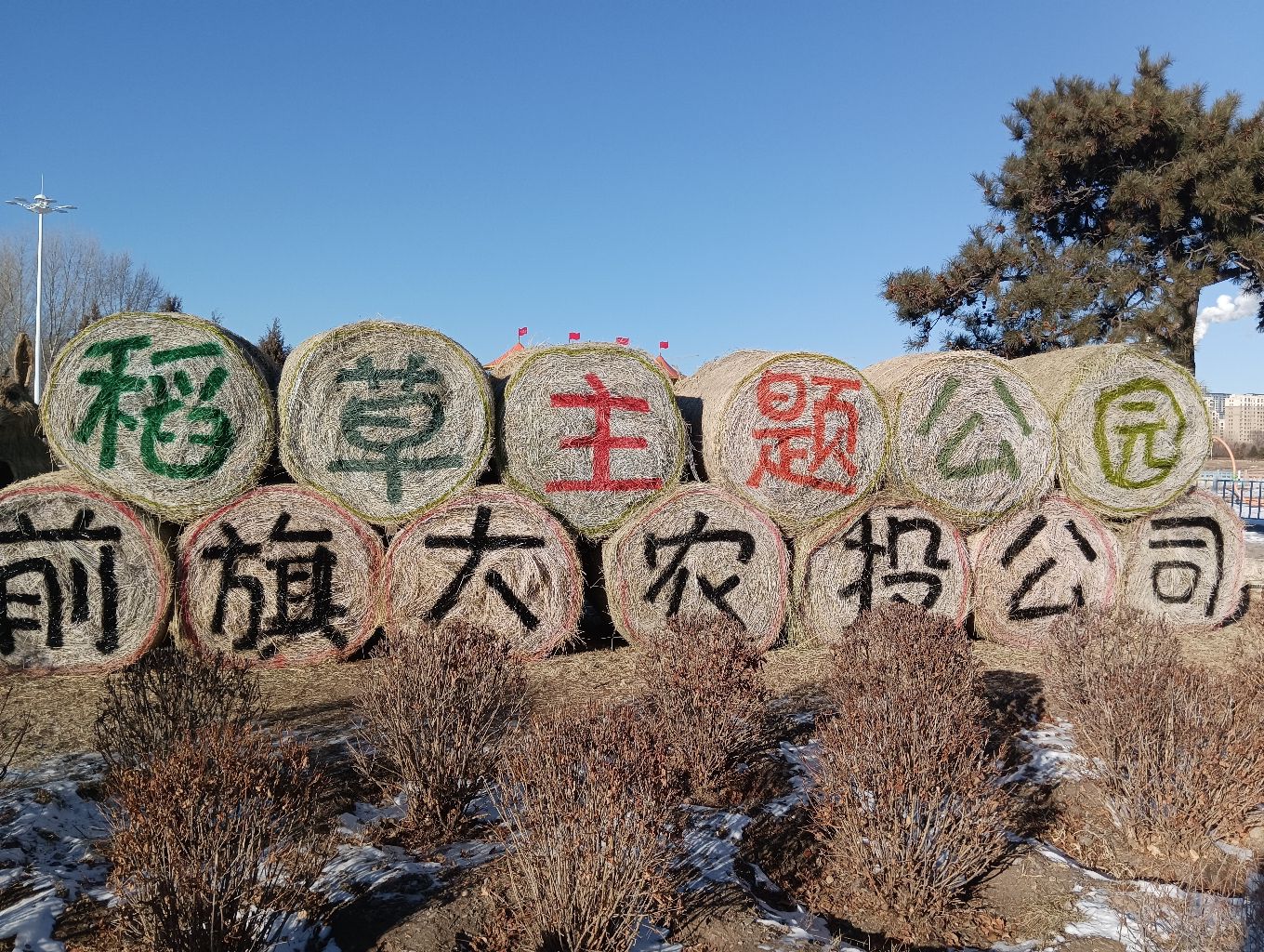 稻草主题公园旅行图片 1