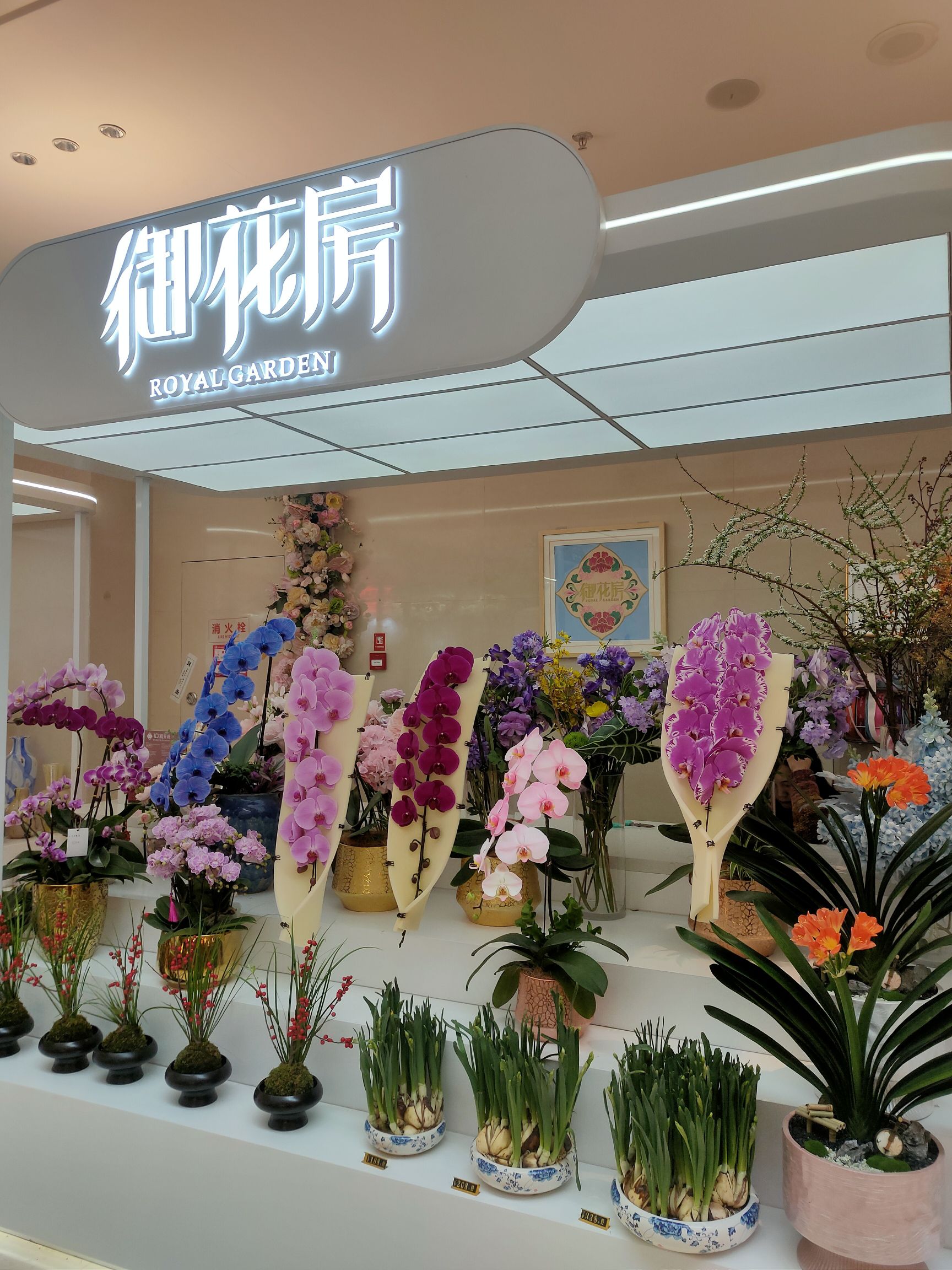御花房(广州塔店)