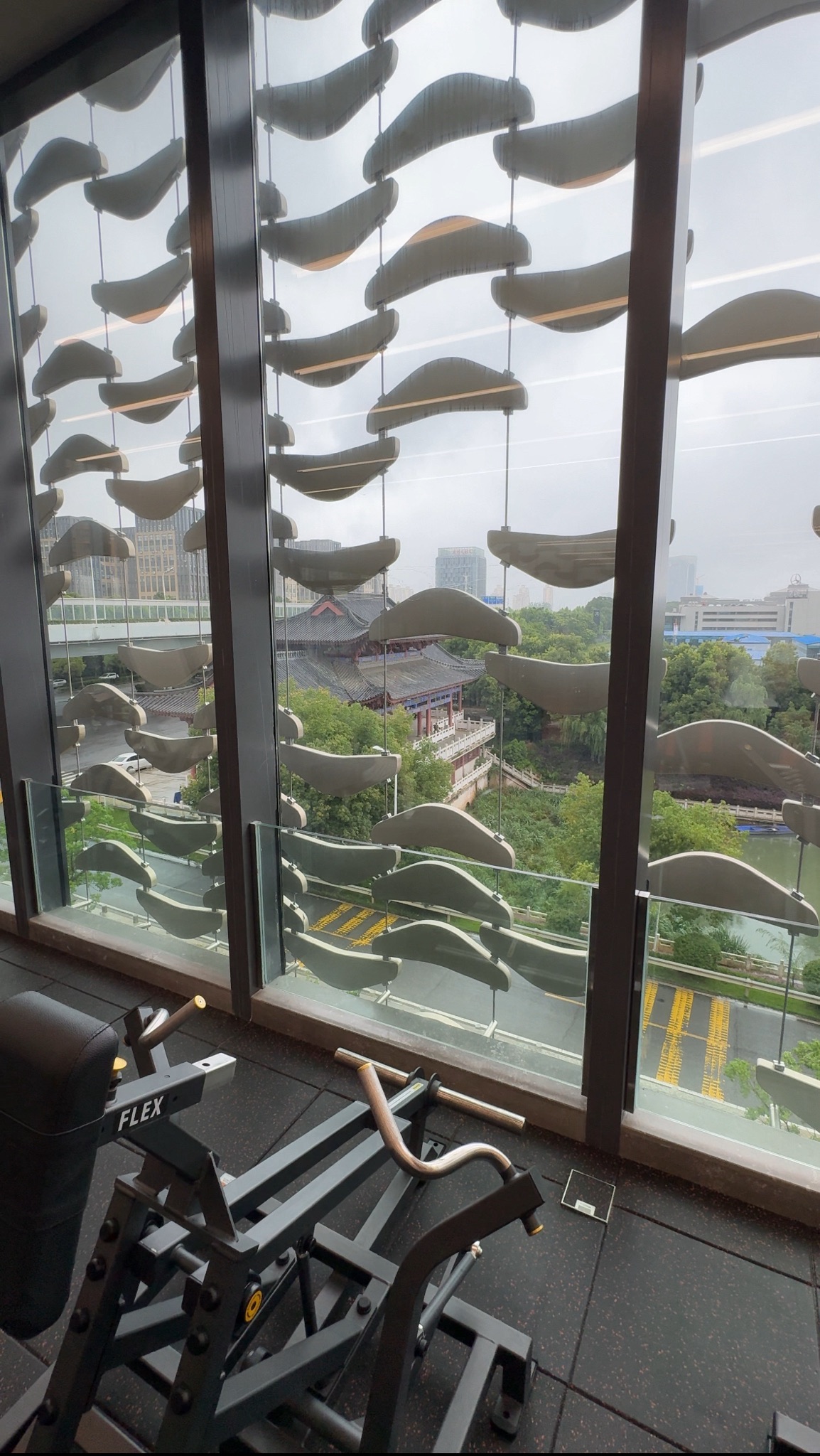 场地封面-青藤MAX运动游泳健身(藏龙岛店)