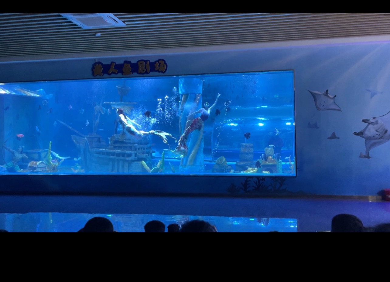 德州海洋馆旅行图片 3