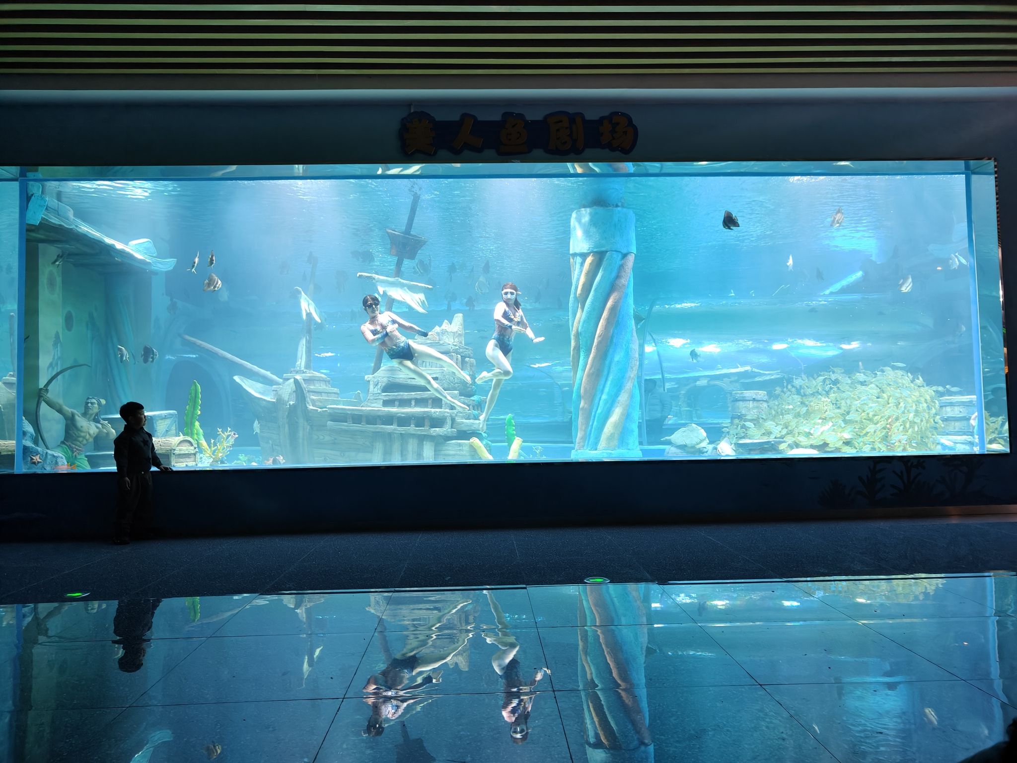 德州海洋馆旅行图片 2
