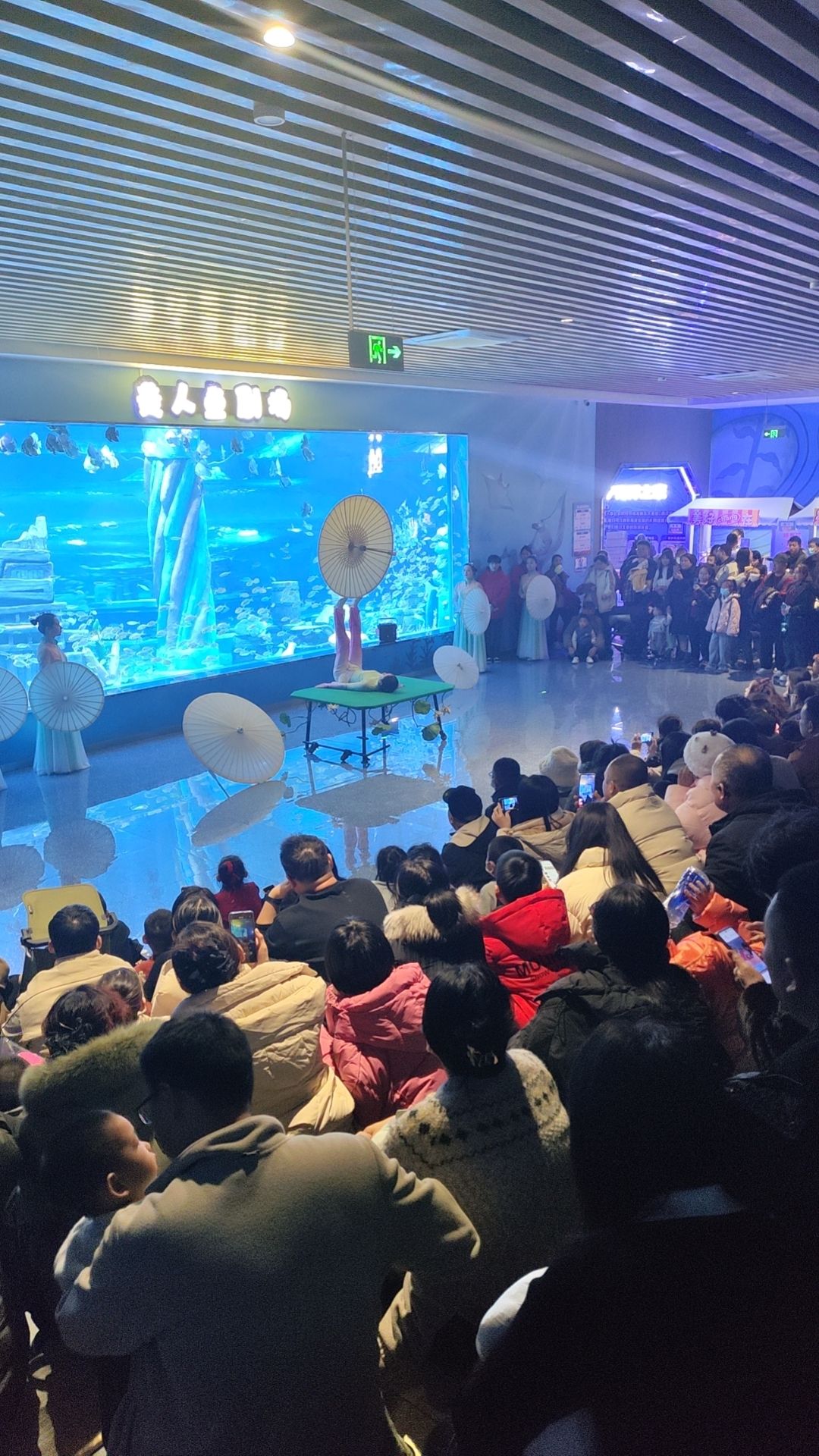 德州海洋馆旅行图片 3