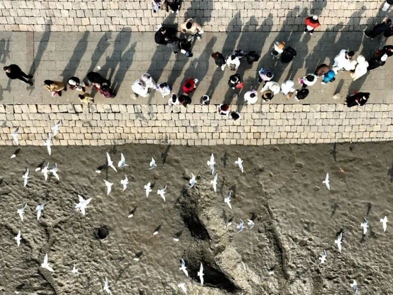 观鸥汀旅行图片 1
