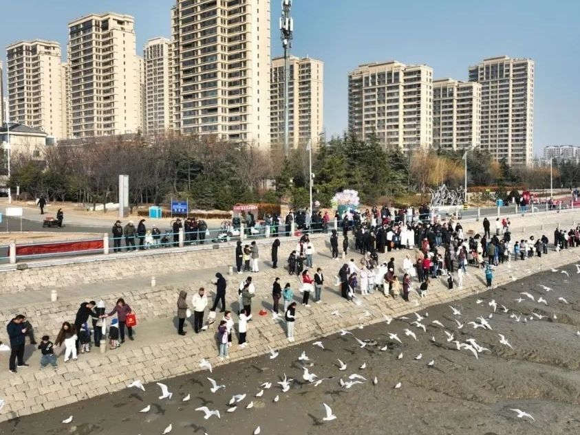 观鸥汀旅行图片 2