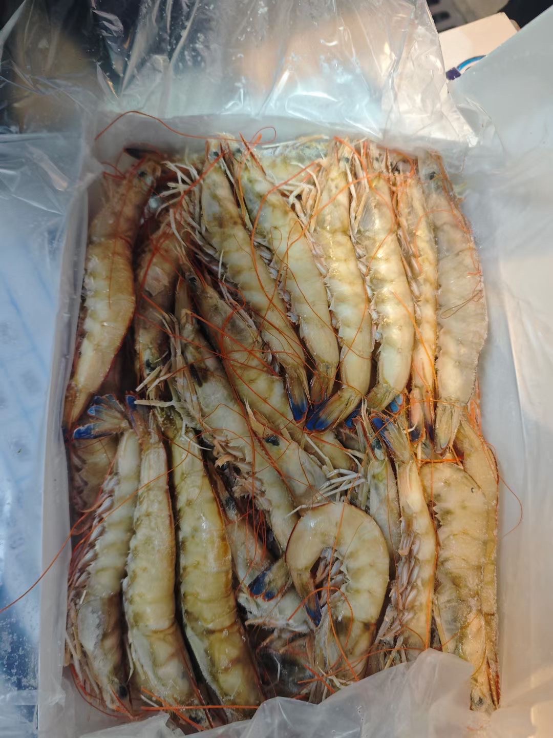 海南福旺水产