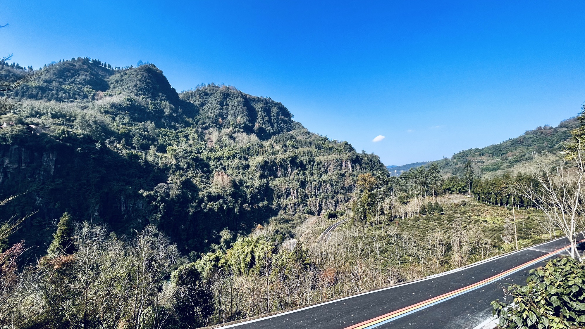 青杠景区旅行图片